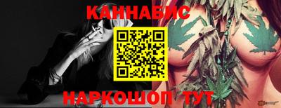 прущие крисы Будённовск