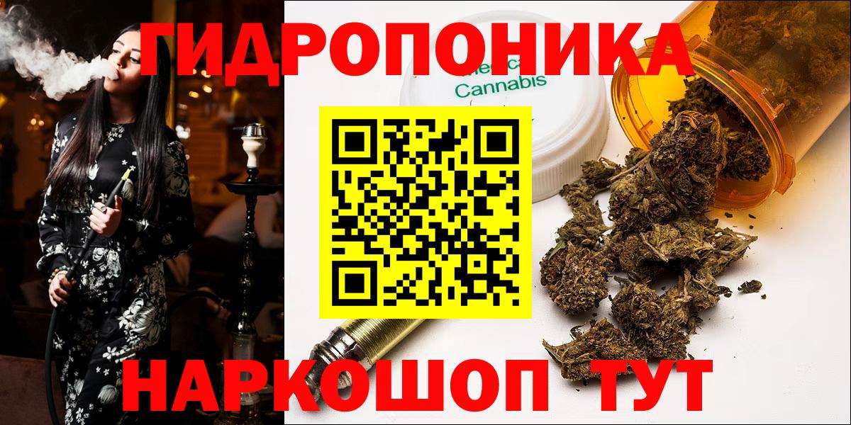 Конопля индика Курчатов
